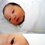 ★귀염둥이 <b>지니스</b>톼일 ★