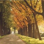 올 가을엔 인형이 되자! 파우치에 쏙! 인형메이크업 시크릿북!