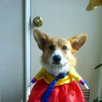 색동옷 입고 <b>멘붕</b> 온 산이 ^^