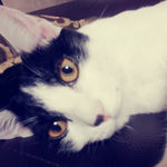 ☆★☆★☆★나와 누나랑 여동생을 소개합니다☆★☆★☆★