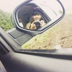 태풍 산<b>바오</b>기전에 난 일본감