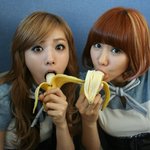 니들이좋아하는애들이야