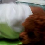 ★★<b>생후</b> 3개월된 밥이야기 2 ★★