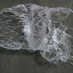이사진의 <b>정체</b>는?