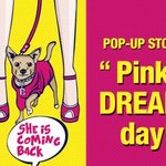 <b>신작</b> 뮤지컬 리걸리 블론드(legally blonde), 인기 브로드웨이...