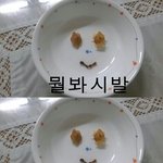 뭘봐<b>시발</b>