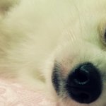 한글사랑 나라사랑 [22탄!!!]