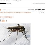 <b>종류</b> 모기 분양ㅋㅋㅋㅋㅋㅋㅋㅋㅋㅋㅋㅋㅋㅋㅋㅋㅋㅋㅋㅋㅋㅋㅋㅋㅋㅋㅋ