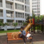 2탄 항상 나와 격투기를하는 우리집 골든리트리버