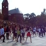 ★★<b>코넬</b>대 학생들의 강남스타일 플래시몹!!!!!대박!!!!!