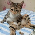 <b>개평</b>좀 주시오 (보고 웃으세요 ㅋ )