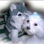 [단독] 톱 개그맨 <b>b씨</b>, 미성년자시절 침대에서 애인과찍은 사진...