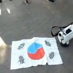[사진,동영상有] 일본의 만행을 고발합니다.
