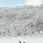 눈의 여왕으로부터 초대- 한라산 등반기 ( 有 )