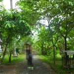 사진,스압有 정말 잊을 수 없었던 첫 친구와의 해외여행기 (5박...