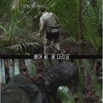 <b>굉장</b>하네요, 크기가 꽤 큰 타란툴라 거미예요