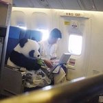 합성이냐 레알이냐 그것이 문제로다.jpg