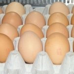 추석선물이 연도별로 어떻게 진화했나 ??