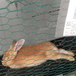 잠자는거도촬(사진유)<b>삭제</b>되기전에
