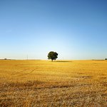 [사진有] 혼자 떠나는 생애 첫 해외여행! - 21편