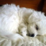 빵<b>식이</b>의 7년ㅋㅋㅋㅋㅋㅋㅋㅋㅋ