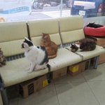 <b>중복</b>일까나..;; 그냥 간단명료한 세계