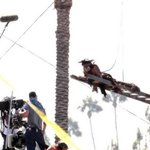 클릭하자마자 깜짝 놀랄 조니 뎁 최근ㅋㅋㅋㅋㅋㅋㅋㅋㅋ