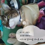 이제곧~ 다가올 <b>추석</b>을 대비하는 자세!!