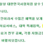 f-4 비자라고 아는 사람 있음?