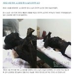 소신공양 <b>문수</b>스님의 마지막순간(혐오일수 있음)