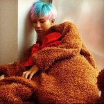 ☆☆☆☆☆☆☆곰돌이의 <b>정체</b>☆☆☆☆☆☆☆
