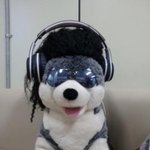 인생 <b>한방</b>이라는 걸 적절히 보여주는 대표적인 예 (싸이 아님)