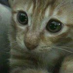 우리집퍼진인절미♥♥♥♥♥2