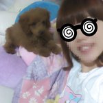 7개월인 푸들이 7kg이면..스탠다드푸들 맞겠죠? (사진유재석)