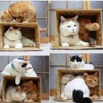 아 쫌 비켜봐..