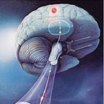 [단월드 뇌교육] 단월드 <b>심신</b> 스트레스 날~리는 뇌체조에 담긴 과학...