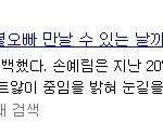 손예림사건기사