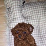 [귀염주의]  ♥행주둥<b>주둥</b>♥ 1탄