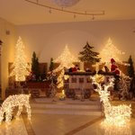 실내 루<b>미나리</b>에 