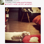 권지용<b>세븐</b>개귀엽닼ㅋㅋ