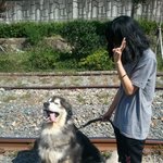 *****대한이의짝을찾습니다*****