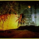 꿈에 대한 재밌고 신비한 15가지 이야기