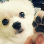 한글사랑 나라사랑 [23탄!!!]