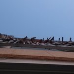 아파트 난간에 걸려진 명태들<미치겠네요>