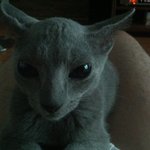 애교쟁이 <b>미유</b>~~~