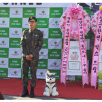 브라우니 물어!!!