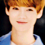 엑소 슈키라 보라 마그넷