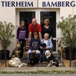 독일의 반려<b>동물</b> 안락사가 0%인 이유