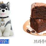 브라우니 <b>원조</b> 라이벌