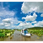 무안 백<b>련지</b>에서